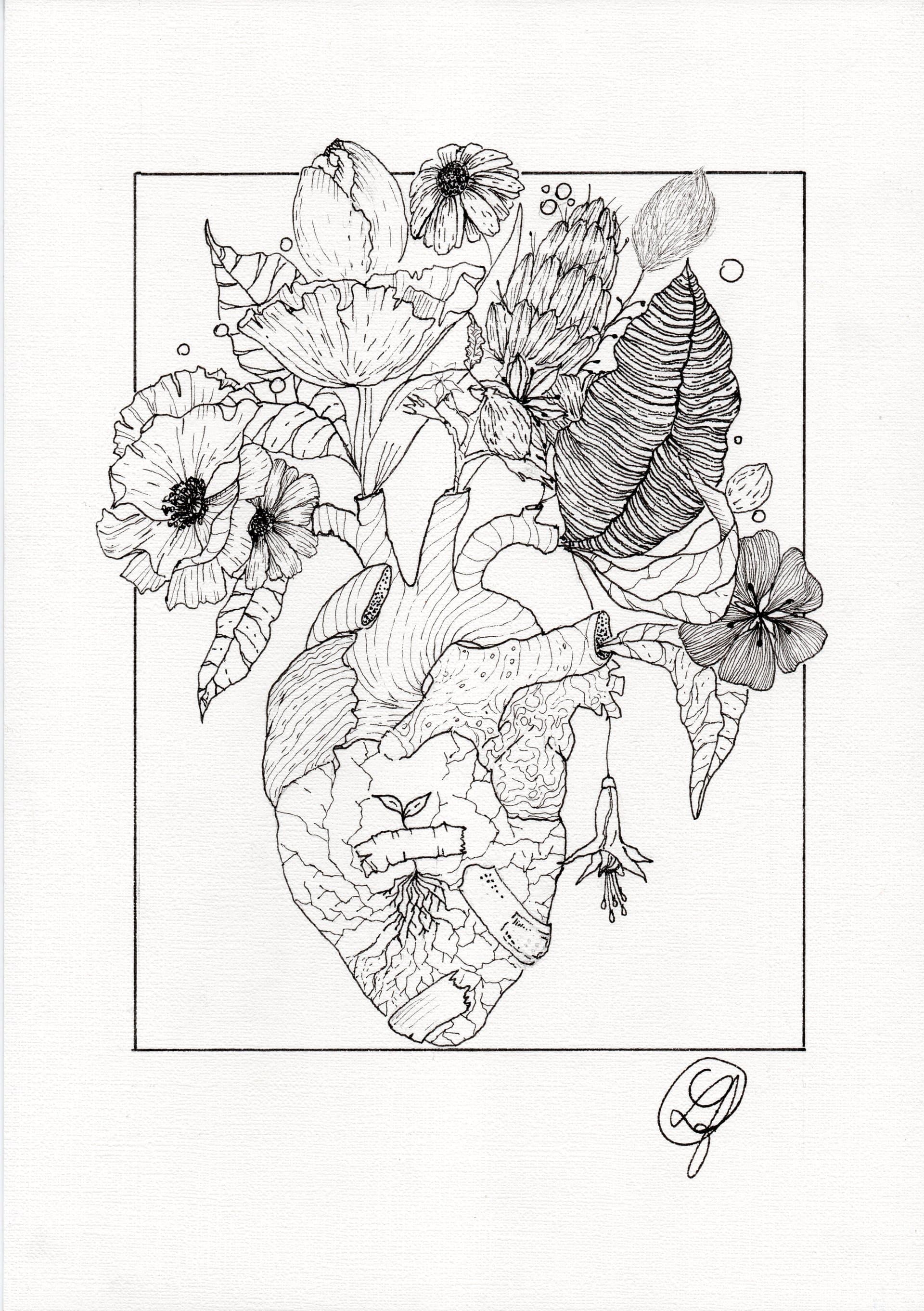 Rebirth
